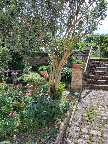 Scorcio del giardino del Monastero delle Clarisse di Osimo